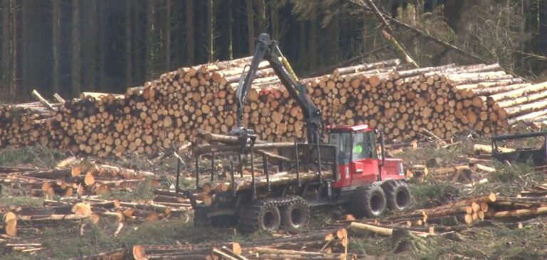 Sustainably managed forests can play a huge part in reducing climate change