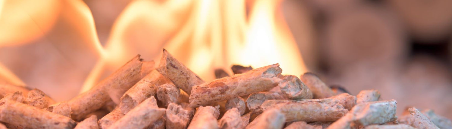 Balcas Energy Wood Pellets