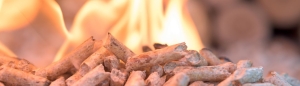 Wood Pellets for UK winter 2025