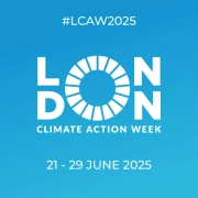 carbon neutral wood pellets