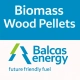 Biomass Wood pellets