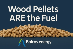 Do Wood Pellets Have Fuel in Them