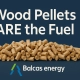 Do Wood Pellets Have Fuel in Them