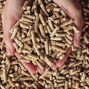enplus wood pellets