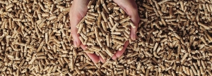enplus wood pellets