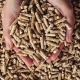 enplus wood pellets