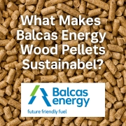 What Makes Balcas Energy Wood Pellets Sustainable?