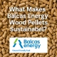 What Makes Balcas Energy Wood Pellets Sustainable?