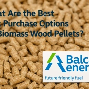 What Are the Best Bulk Purchase Options for Biomass Wood Pellets